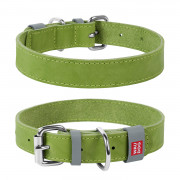 Ошейник COLLAR WAUDOG зеленый 25 мм 38-49 см 313696